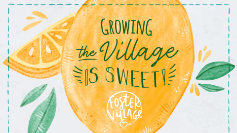Lemonade Stands Benefitting Foster Village